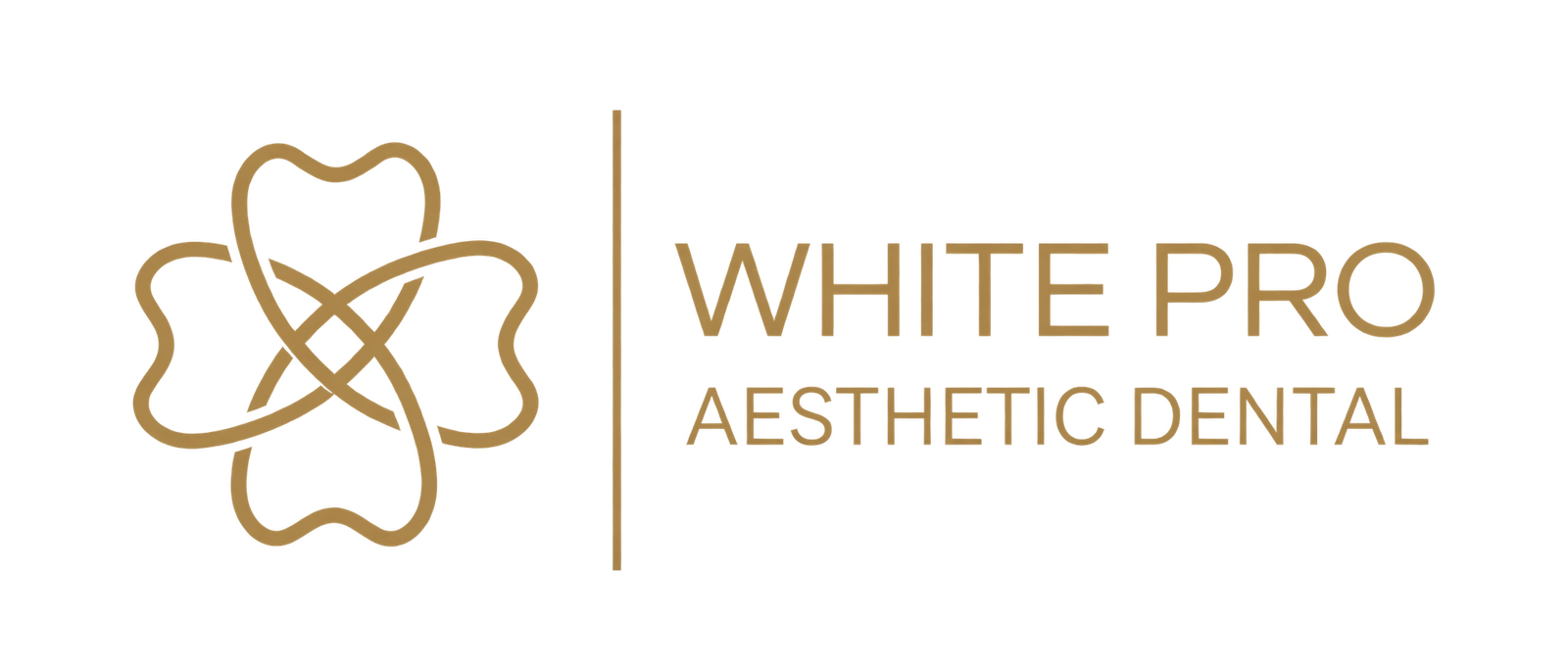 White Pro Dental