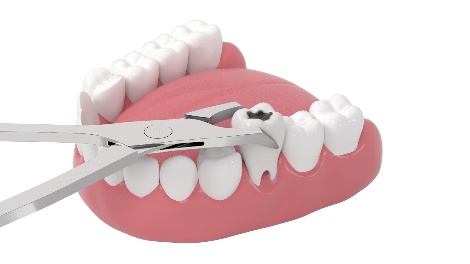 White Pro Dental